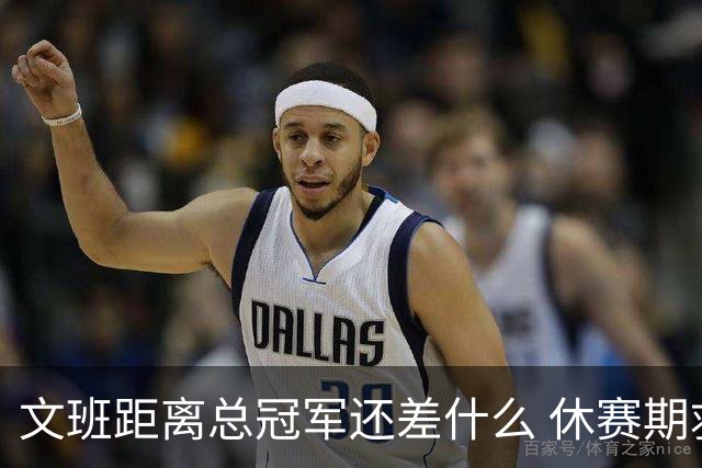文班距离总冠军还差什么 休赛期救赎从增重开始？
