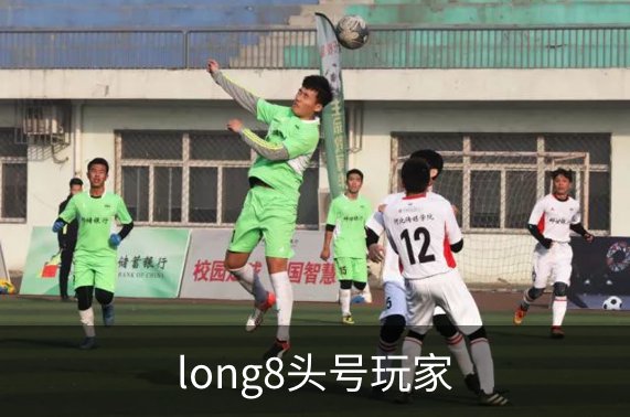 long8头号玩家概况